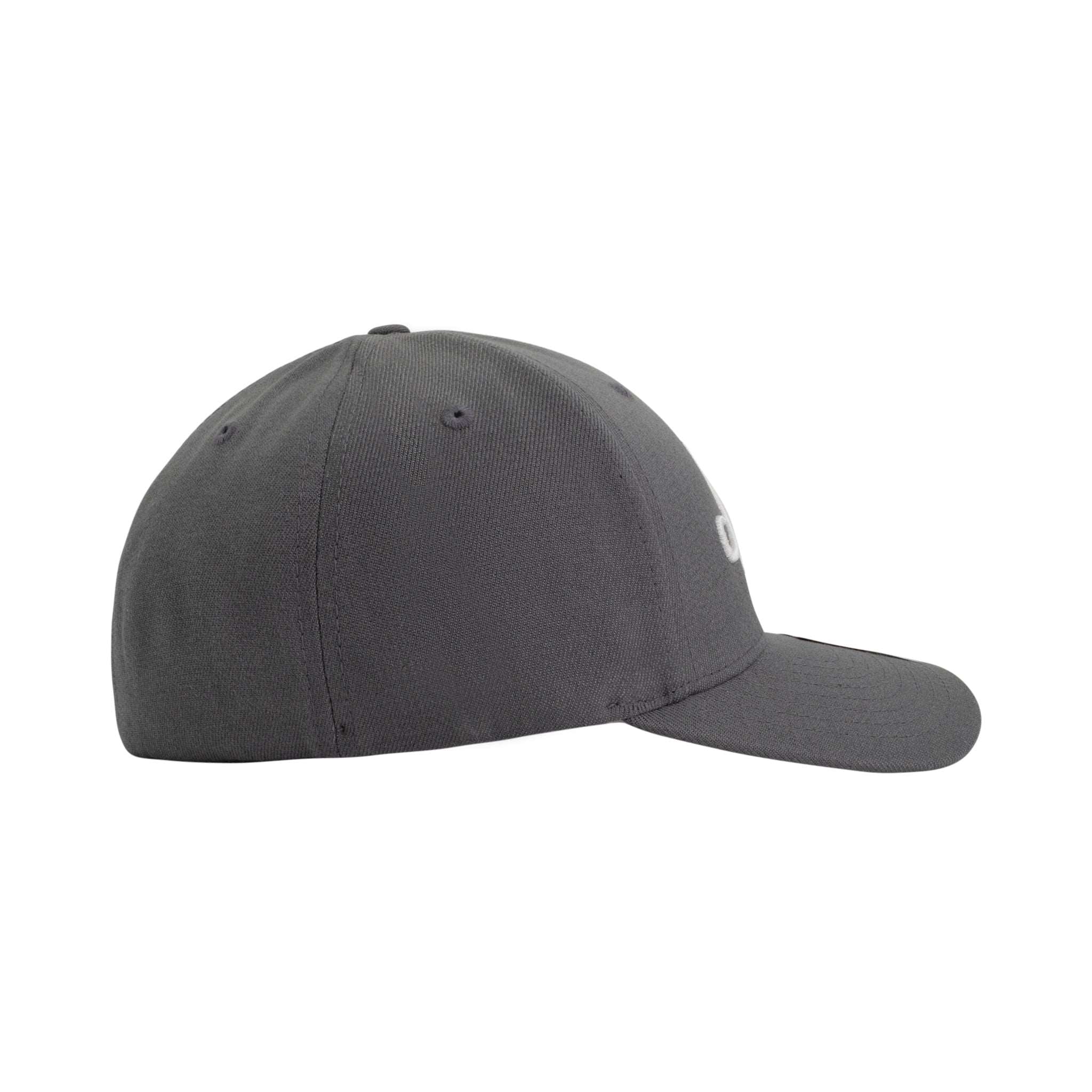 Flexfit dri fit clearance hat